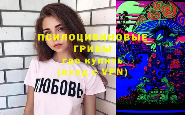PSILOCYBIN Гусь-Хрустальный
