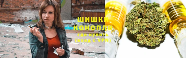 гидропоника Гусев